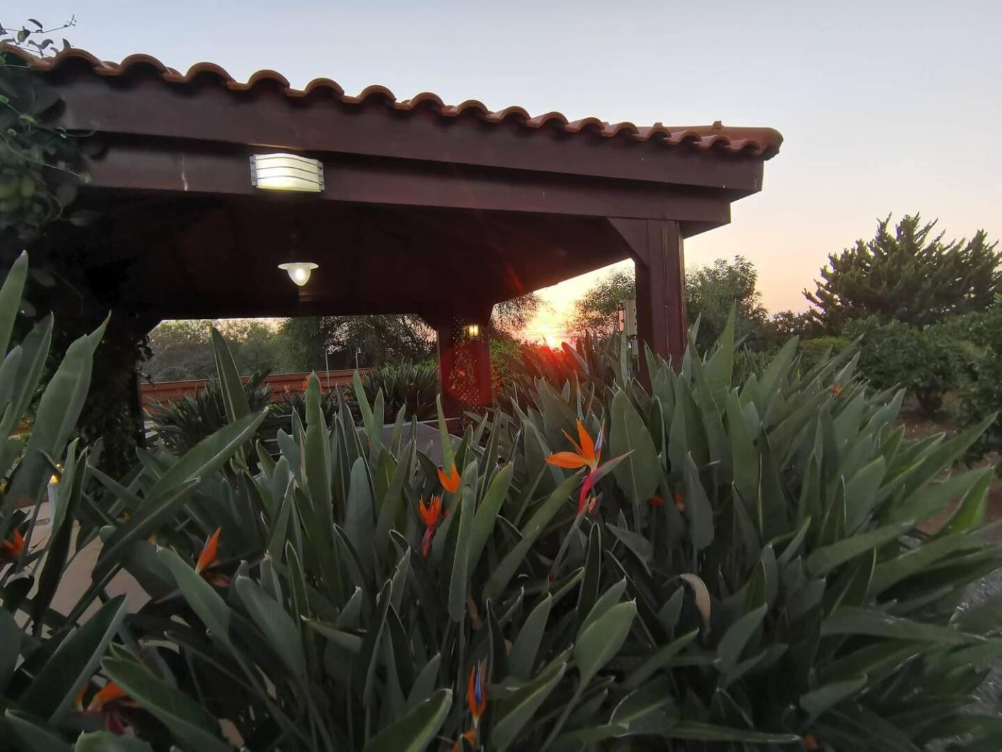 Orchard Blossom Private Villa With Pool Phrenaros Exteriér fotografie