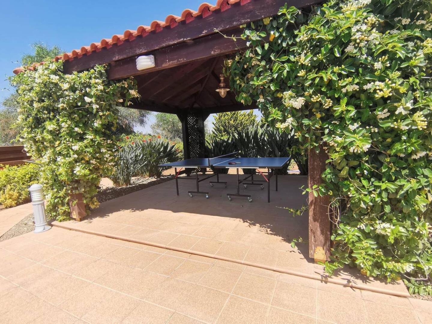 Orchard Blossom Private Villa With Pool Phrenaros Exteriér fotografie
