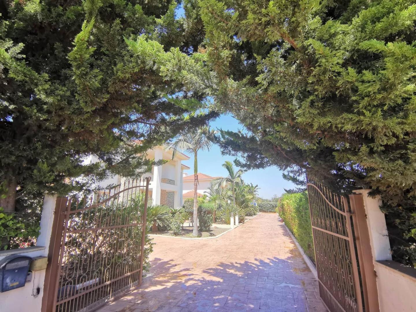 Orchard Blossom Private Villa With Pool Phrenaros Exteriér fotografie